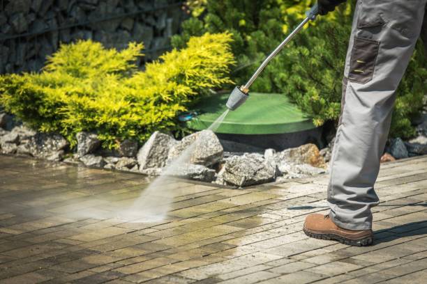 Reliable Trinity, FL Pressure Washing Services Solutions