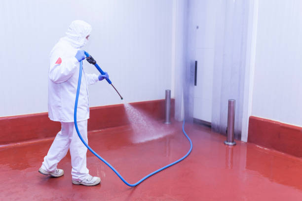 Best Winterizing Services  in Trinity, FL
