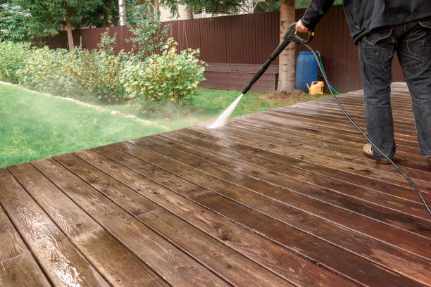 Best Building Exterior Washing  in Trinity, FL