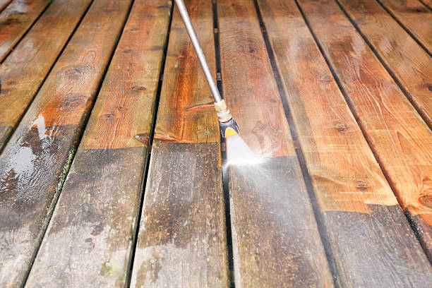 Best Warehouse Cleaning  in Trinity, FL